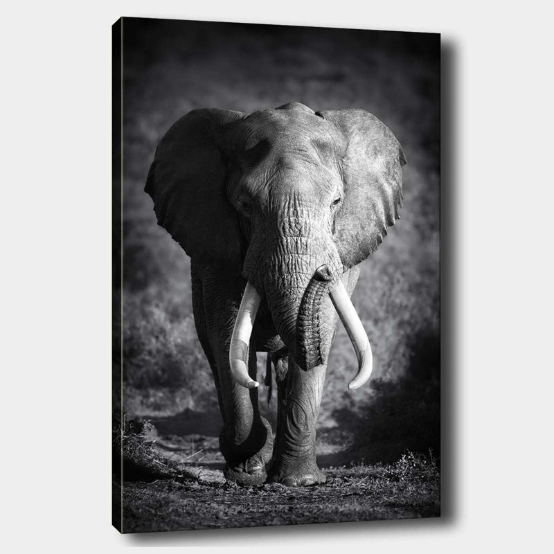 Wrapped Canvas Painting