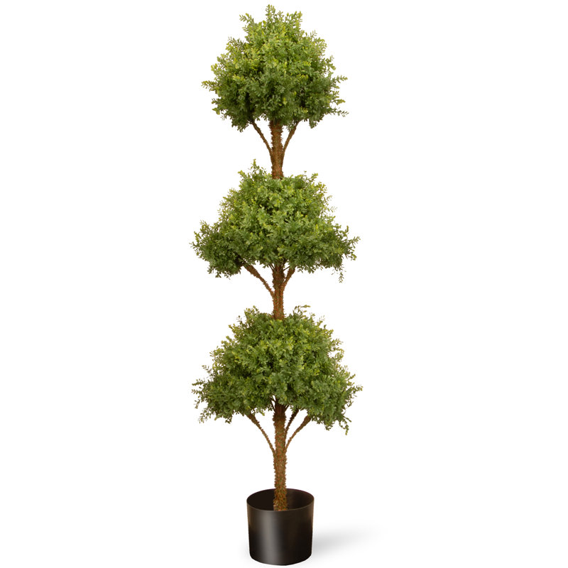 72" Mini Tea Leaf Three-Ball