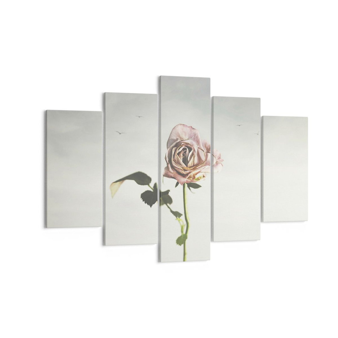 5-tlg. Leinwandbilder-Set Rose Birds Sky