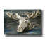  «Lake Moose» par Stellar Design Studio, art mural en toile, 60 po x 40 po