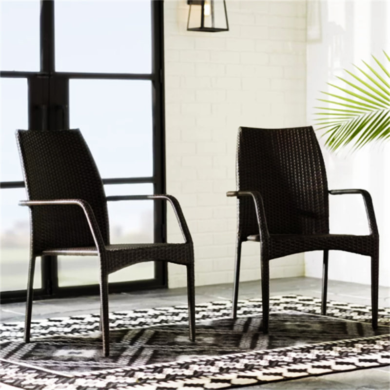 Chaises d'extérieur en osier (excluant la table)