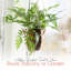 Cintres Macrame pour plantes - Paquet de 6 cintres Macromay pour plantes d'intérieur, Boho et décoration intérieure