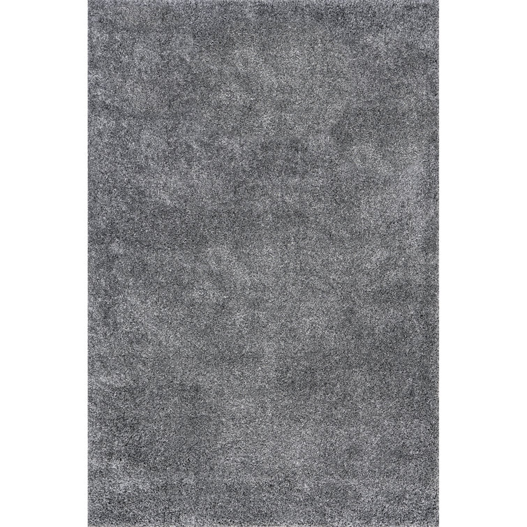 Conye Performance Grey Shag Area Rug