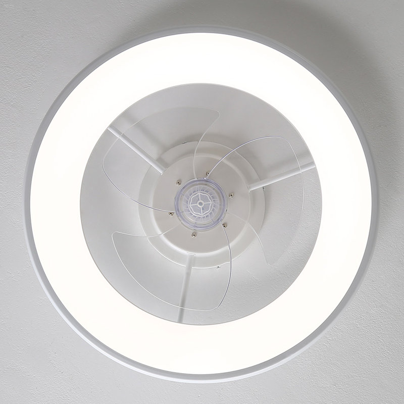 Ceiling Fan with LED Lights