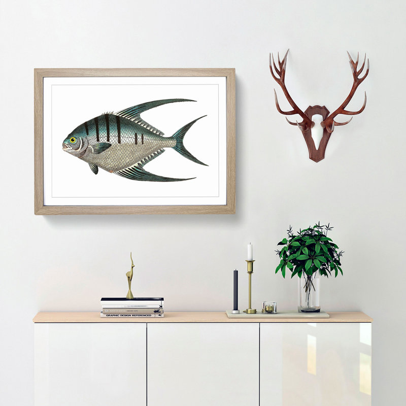 Glaucous Butterflyfish by George Shaw - Framed Print, 36cm H x 48cm W x 2cm D, Oak Framed