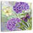 Harnek Flower Collage Hydrangea And Butterflies-109203011