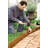 Brown Metal Lawn Edging-21132722