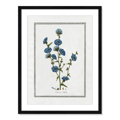 Colombe "Soft Botanical I" Print