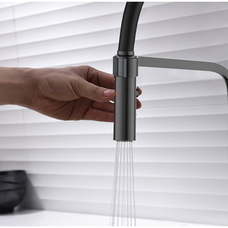 Belfry Kitchen Gabilan Pull Down Kitchen Faucet