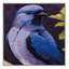  Tapis lavable violacé Euphonia Birds-1079107561