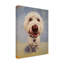 Reproduction d’art sur toile tendue « Molly White Dog » par Lucia Heffernan-853142753