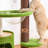 The Wizard of Oz Cat Tree