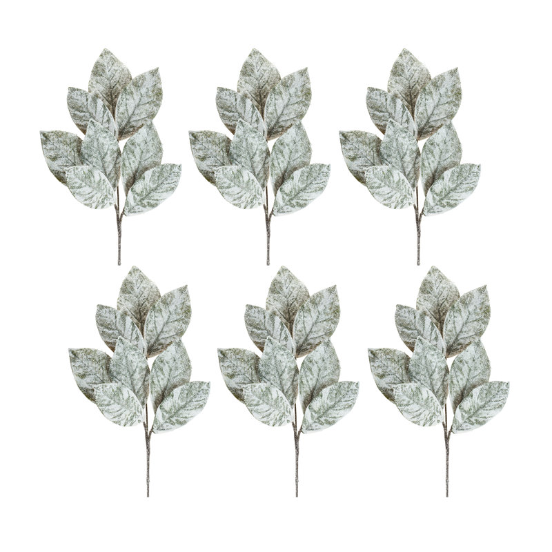Magnolia vapeur