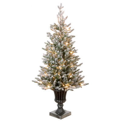 4' Pre-Lit Fir Christmas Tree