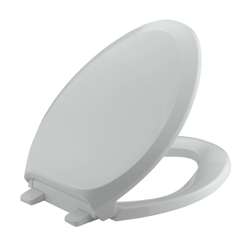 French Curve Elongated Toilet Seat, Ice Gray, Non Ready Latch