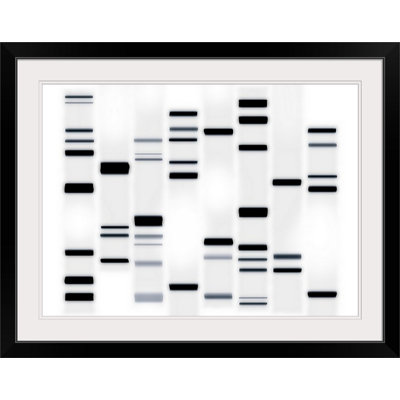 «ADN Art» par Francy, impression en noir et blanc