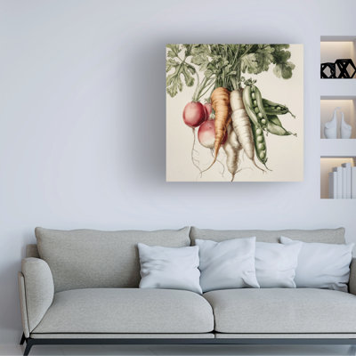 Wrapped Canvas Wall Art - Paula Freeman  'Vegetable Medley I' Wall Art for Living Room, Bedroom, or Office Décor  - 18x18