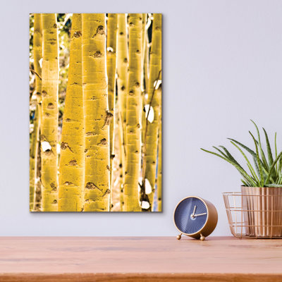 «Aspen Trunks» par Mark A Paulda, art mural en verre acrylique