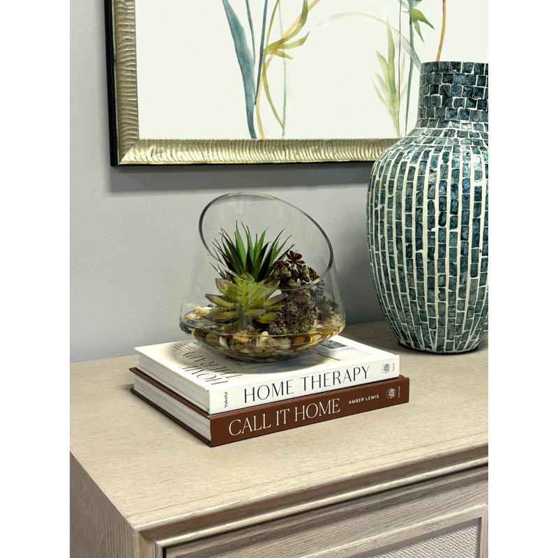Succulent Arrangement with Sedum, Marginata and Cactus