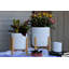 Pot de fleurs-301192161-301192165