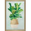Palmier tissé II - Peinture-917119974-917119998