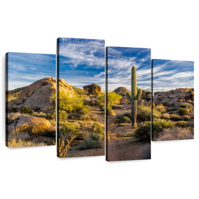 Alvord Saguaro Cactus And Rocks