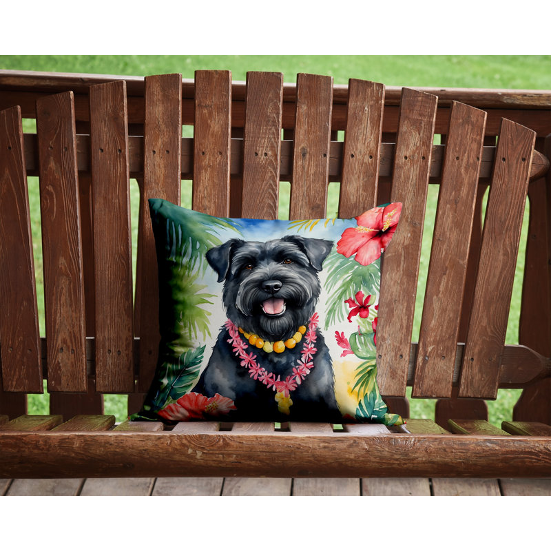 Coussin décoratif intérieur / extérieur Autre / Sans motif, H 14 po x l 14 po