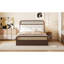 Grand lit plateforme en bois avec lit gigogne et 2 tiroirs, espresso