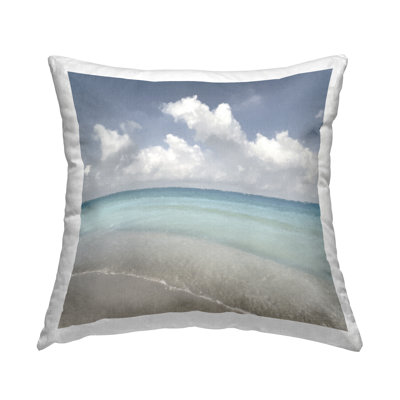  Throw Pillow