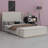 Upholstered Bed Frame With Storage Ottoman, And Vertical Stripe Wingback Headboard And Footboard-398401175-398401172