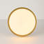 Brass LED Opal Glass Round Ceiling Light