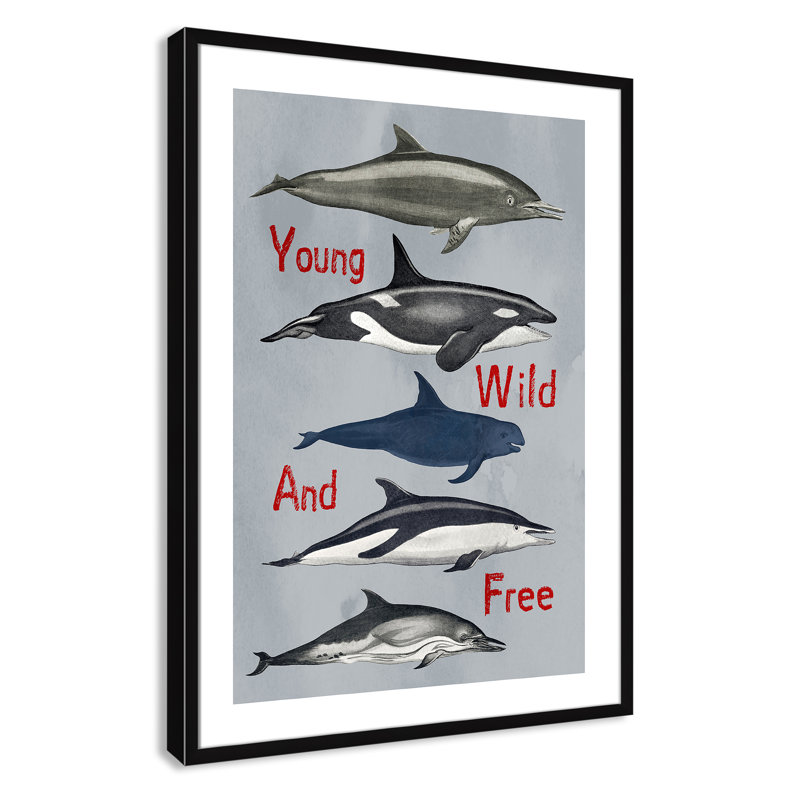 «Young and Wild», impression sur papier, H 34,5 po x l 24,5 po x P 1,18 po, Encadré de boîte noir