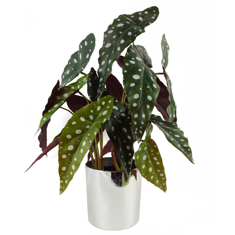 Ananias 40cm Faux Foliage Plant in Pot