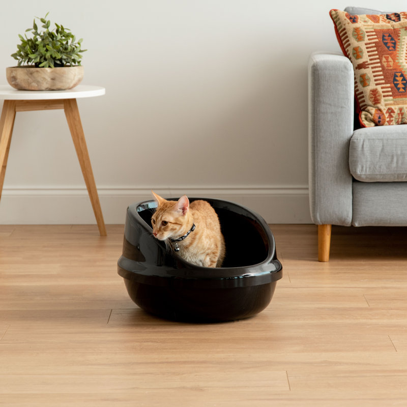 Black Shielded Plastic Cat Litter Pan with Scoop