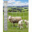 Clôture en fil de fer soudé galvanisé robuste, barrière antirouille pour volailles, animaux et jardin, taille 1,2 m x 100 m-123824931