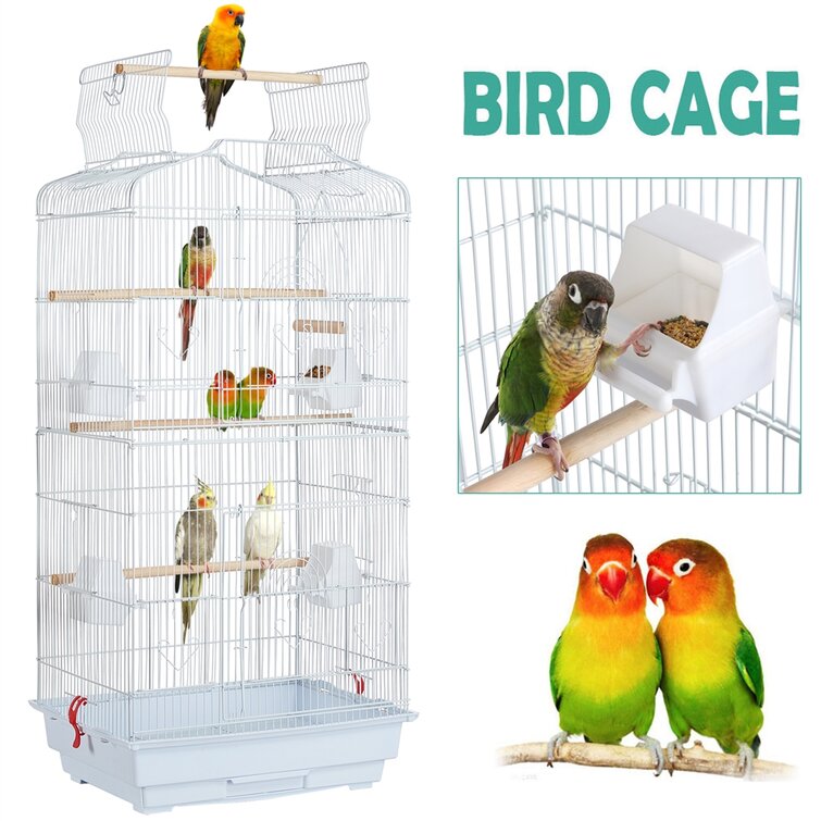 Ciani 24'' Plastic Dome Top Hanging Bird Cage with Perch