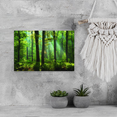 Ferns In The Forest Abstract Contemporary Forest Landscape Wall Art