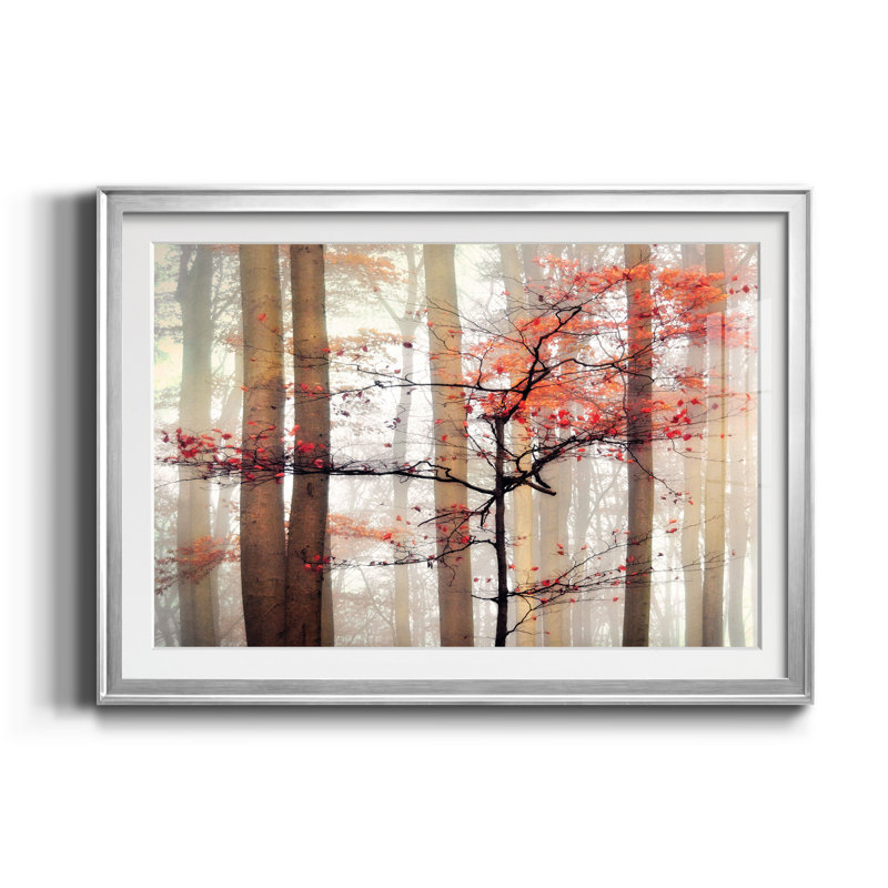Awakening - Cadre photo, impression sur papier, H 22,5 po x l 30,5 po x P 1,5 po, Argent