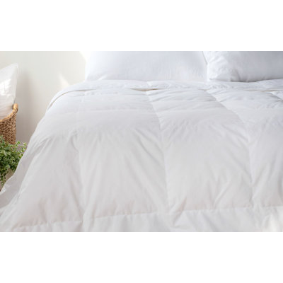 Insert de couette léger en duvet et plumes