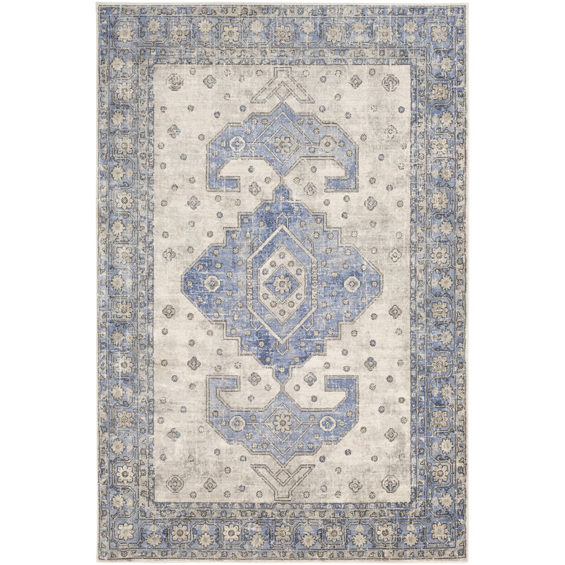 Paraiso Oriental Indoor Rug, Rectangle 4'3" x 5'7"