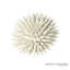 Urchin-White-Sm-1447989705