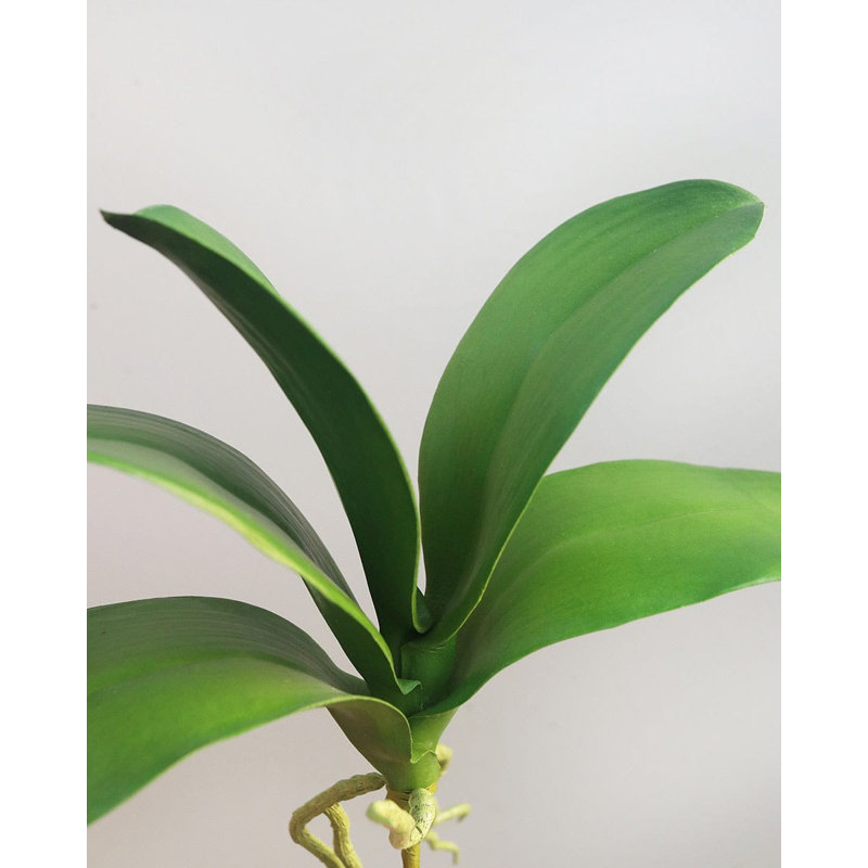 Feuilles d'orchidées artificielles 30 cm