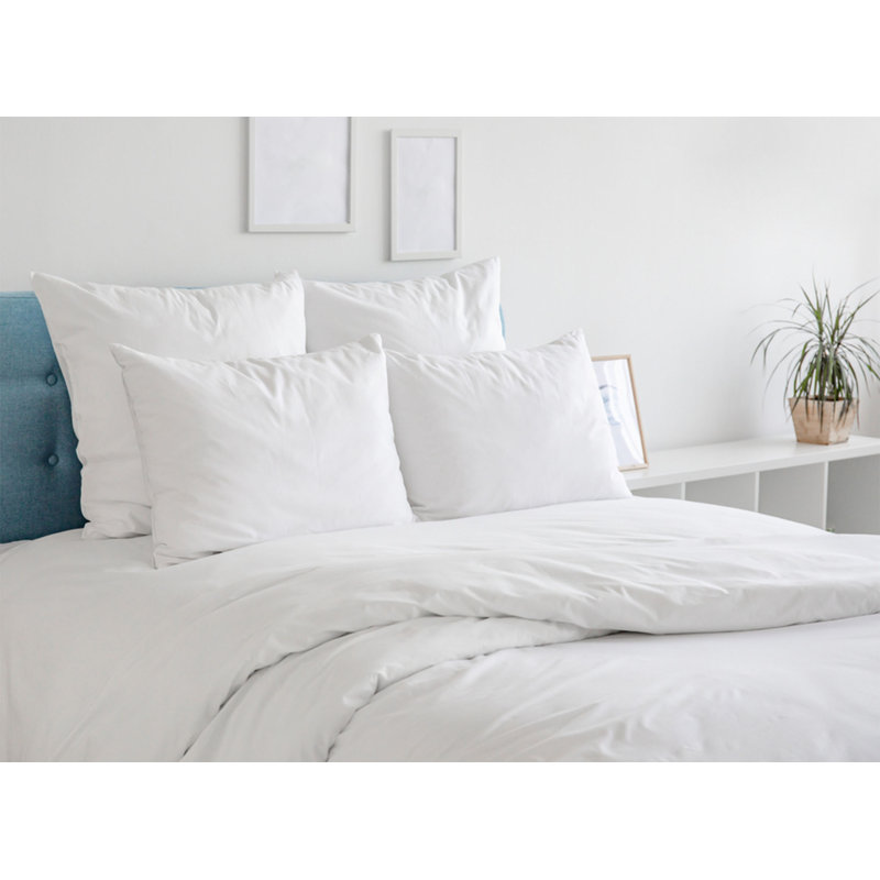 Jaree 6-Piece Rayon Hotel Sheet Set, Queen, White