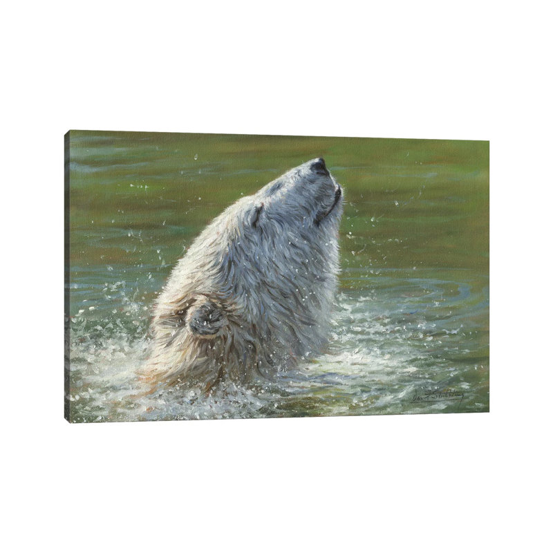 Polar Bear Splash by Annette Schmucker - Print on Canvas, 20.32 cm H x 30.48 cm W, Wrapped Canvas
