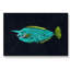 Mu Mu by Warren Sellers - Wrapped Canvas Painting-19085334