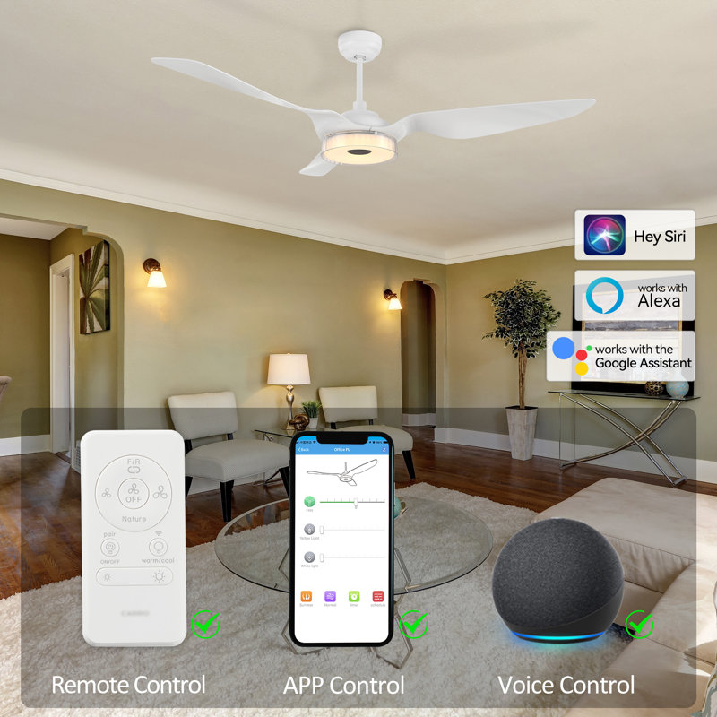 Aroz 60'' Ceiling Fan with LED Lights, White