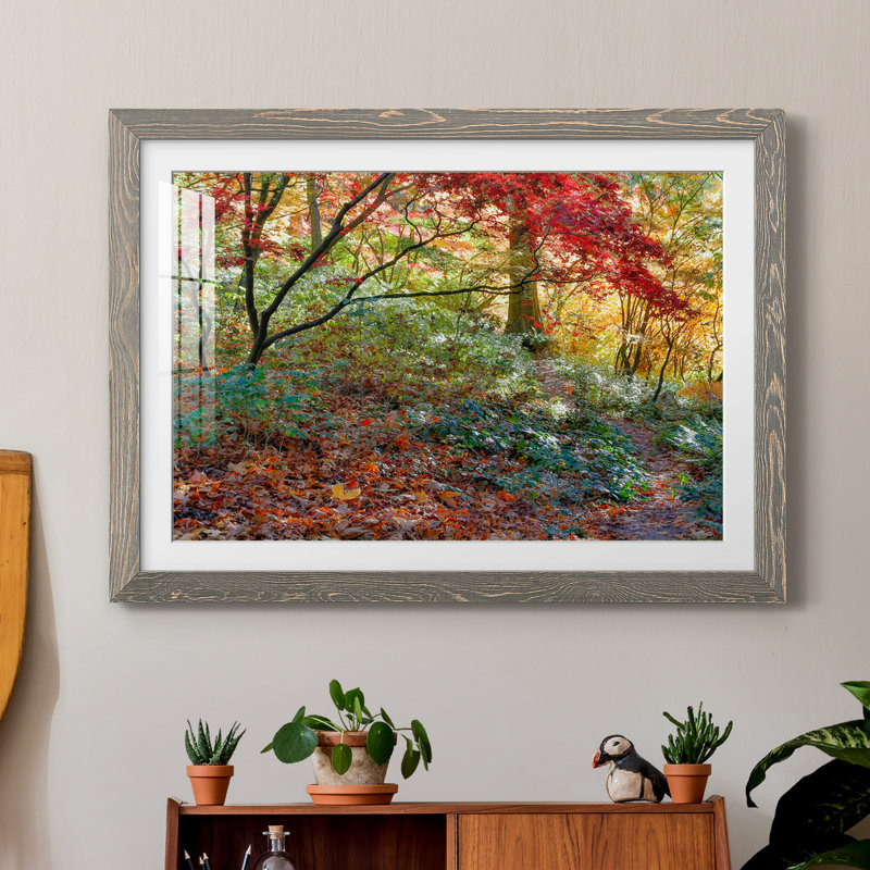 Secret Garden par J Paul - reproduction de photo sur papier encadrée, H 23,5 po x l 31,5 po x P 1,5 po, Gris