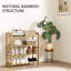 12 Pair Shoe Rack