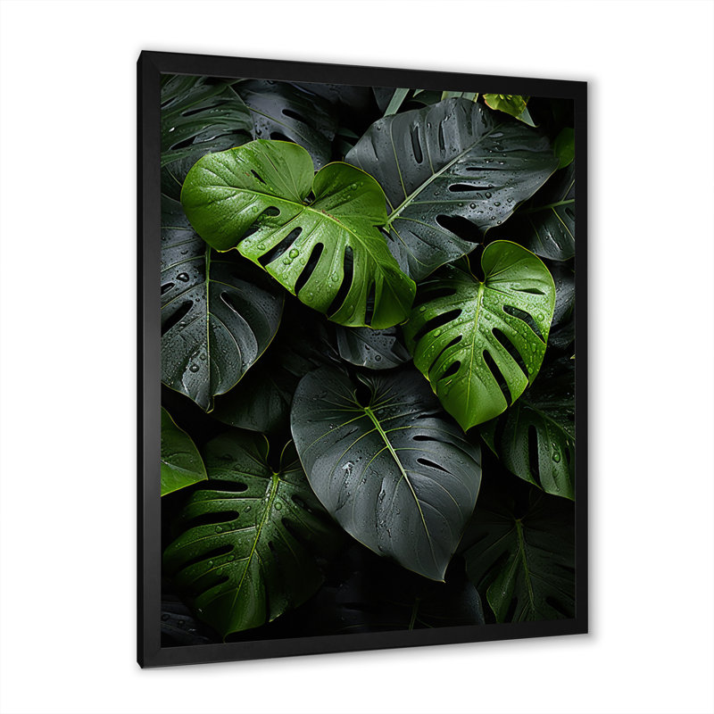 Dominicain, feuillage tropical II - impression, H 20 po x l 12 po x P 1 po, Cadre photo noir
