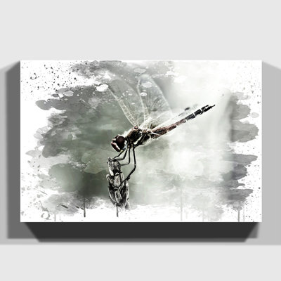 Dragonfly Insect - Wall Art